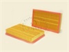 <b>AC:</b> PC 2420 E<br/><b>JAGUAR:</b> NJA 3558 AA<br/>