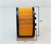 <b>AC:</b> AC 6262 E<br/><b>FORD:</b> M 8206 A01<br/>