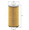 <b>DAF:</b> 2151728<br/><b>DAF:</b> 2047411<br/><b>DAF:</b> 2234788<br/><b>DAF:</b> 230531<br/>