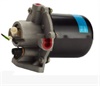 <b>MISHBISH:</b> MK321607<br/><b>MISHBISH:</b> DR-41<br/><b>MISHBISH:</b> MC826856<br/>